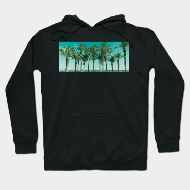 Row of tropical feeling palm trees panorama shape image Hoodie by brians101